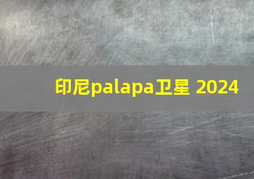 印尼palapa卫星 2024